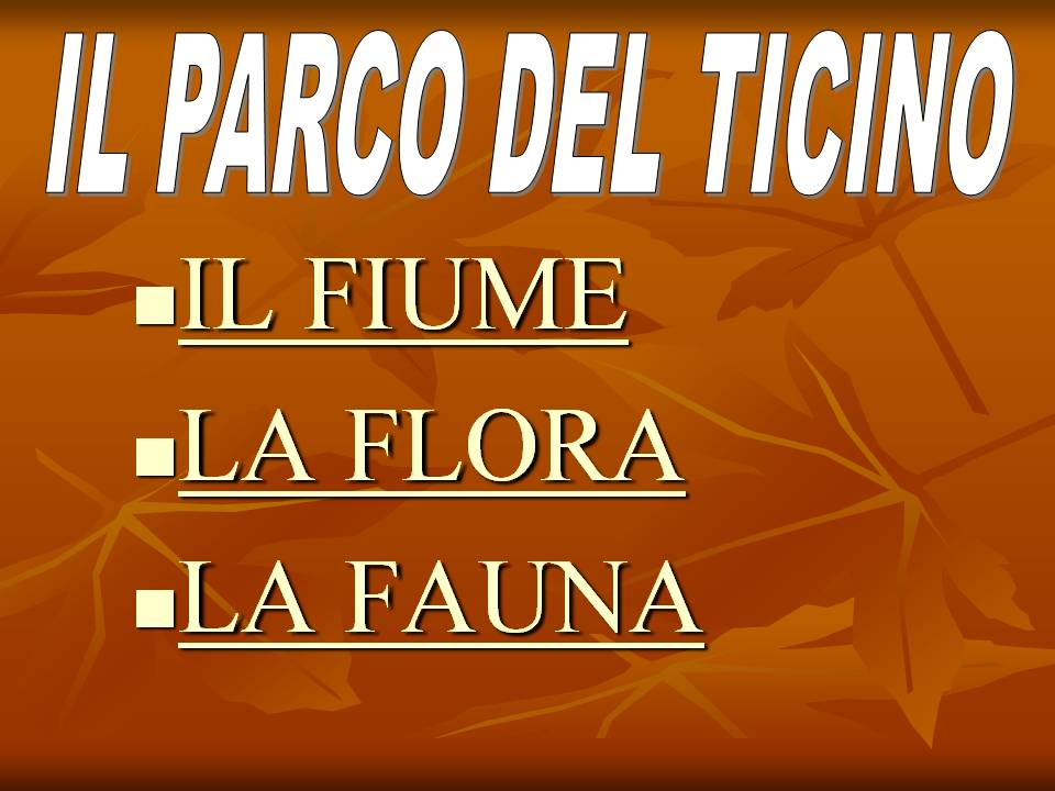 Il Parco del Ticino, quanta vita nel nostro fiume